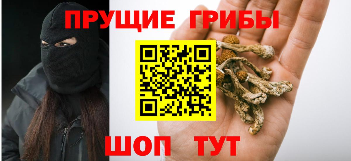 Псилоцибиновые грибы Magic Shrooms  Галлюциногенные грибы прущие грибы  Вход с VPN  Первоуральск 